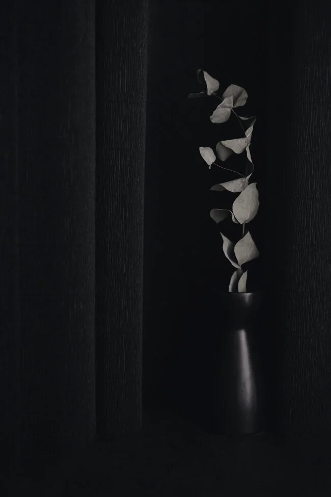 Study In Black.jpg