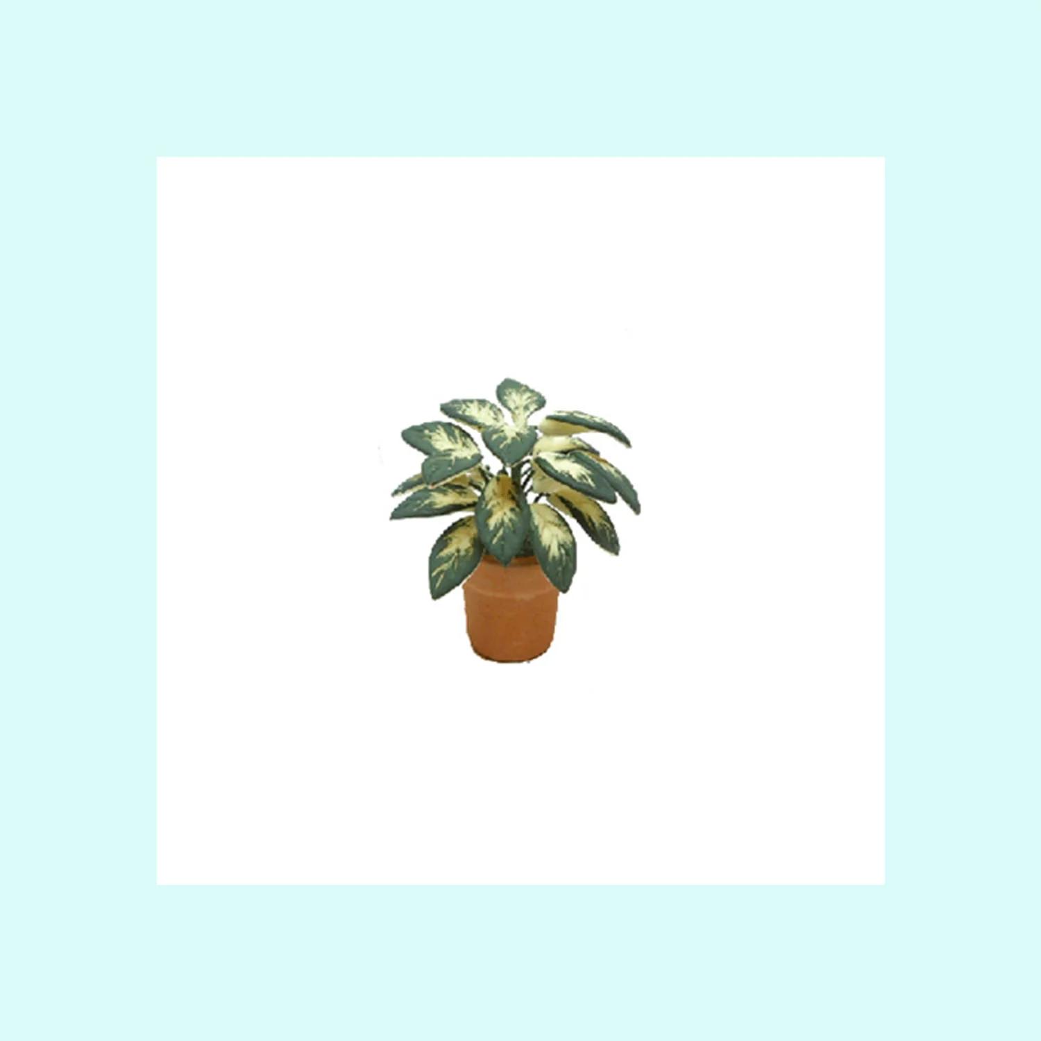 Indoor Plant in Clay Pot
