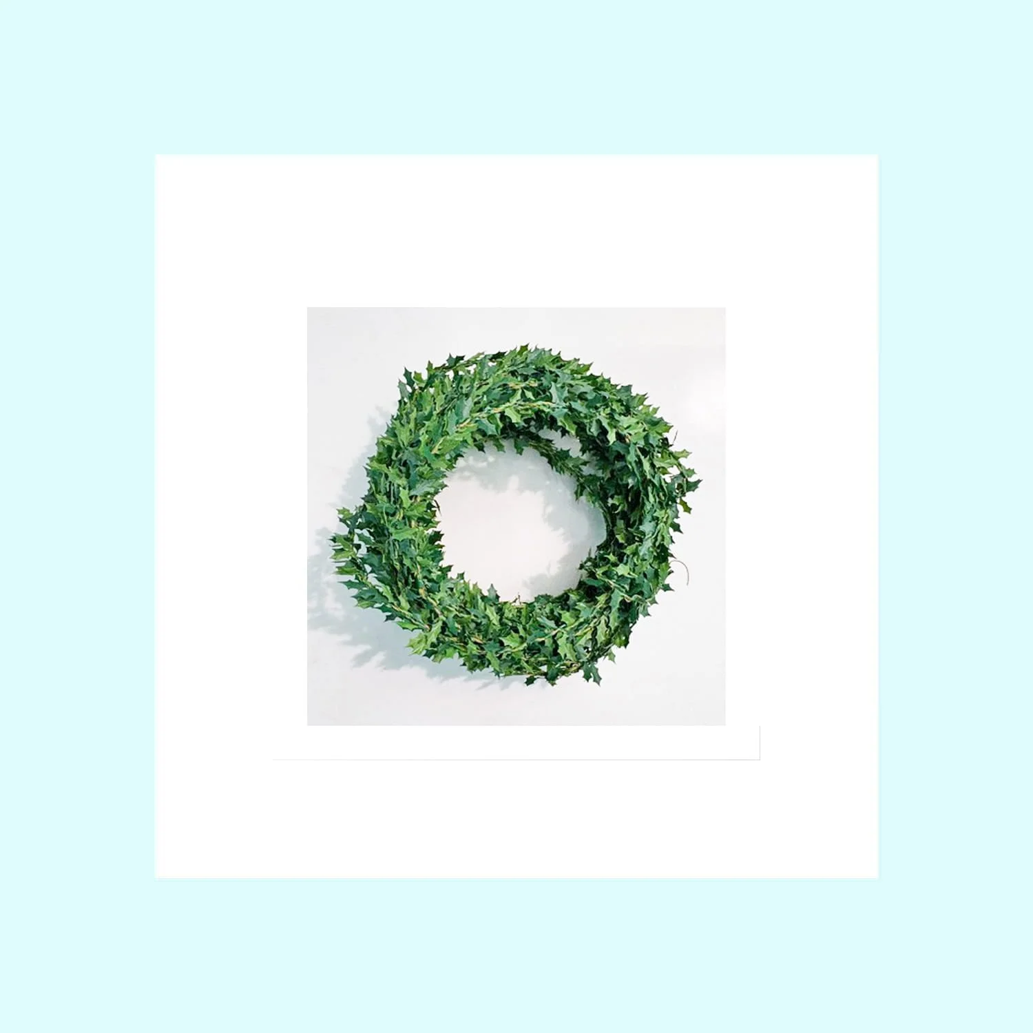 Garland - Holly 1.jpg
