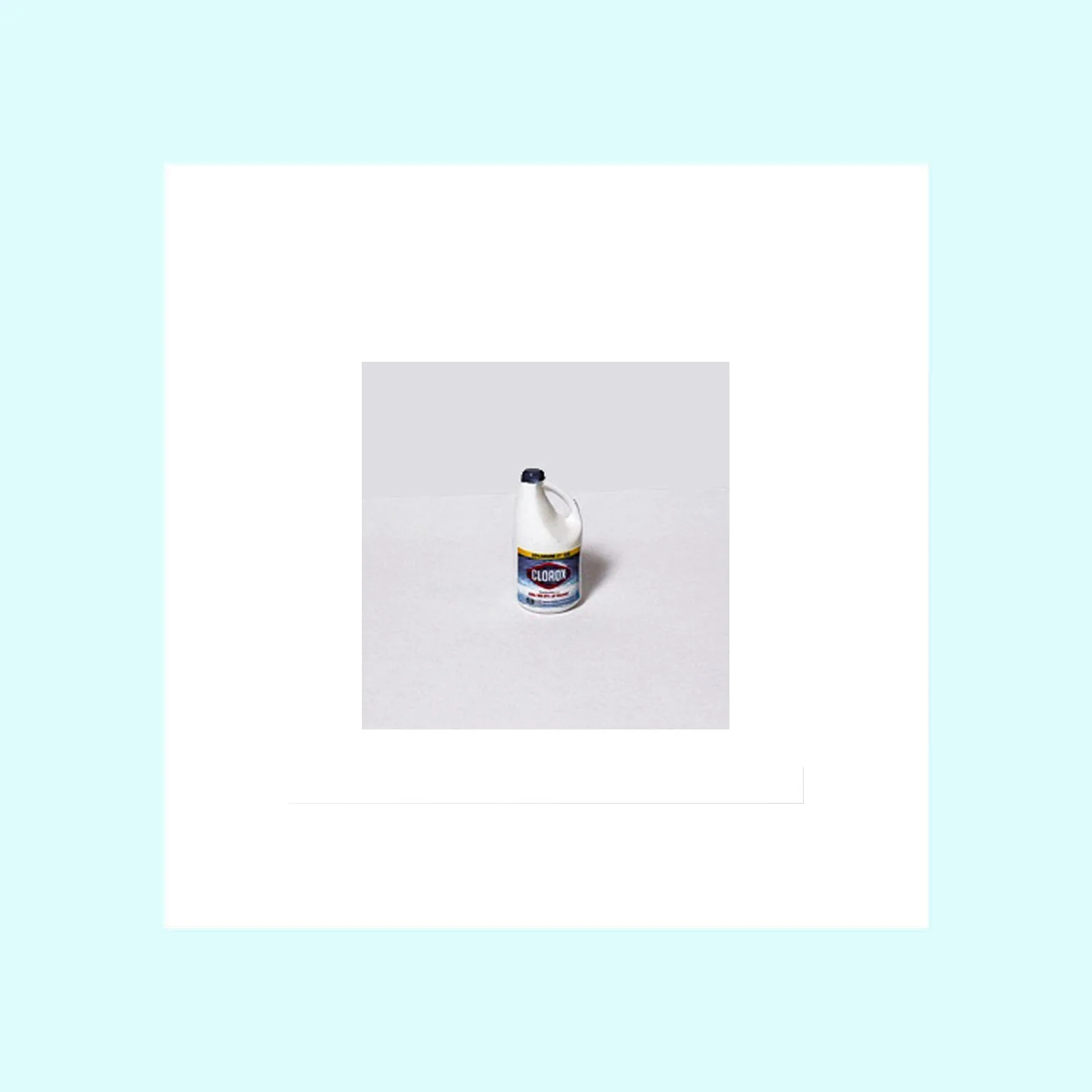 Bleach Bottle