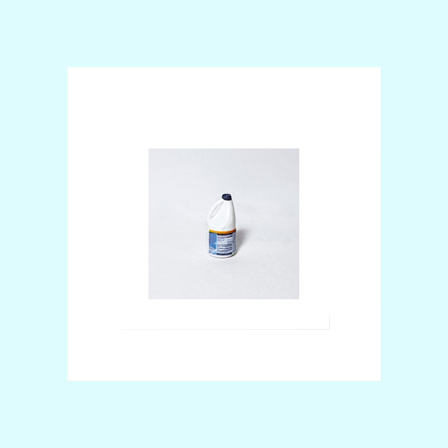 Bleach Bottle 1.jpg