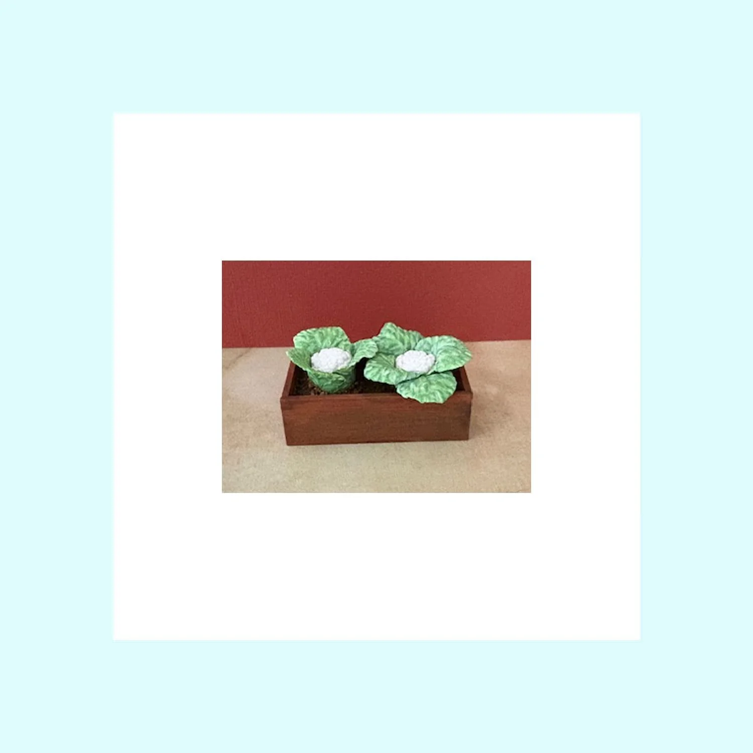 Planting Box - Cauliflower 2.jpg