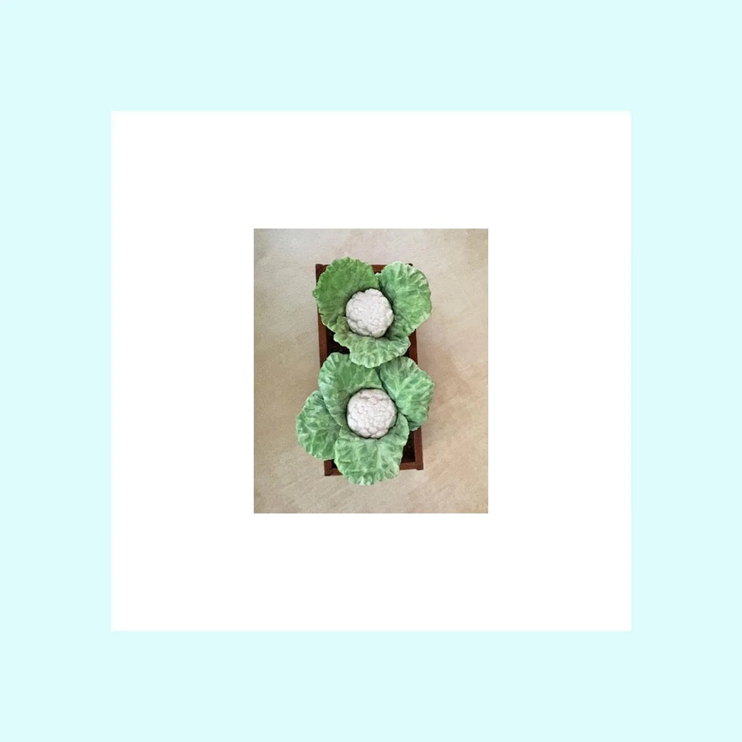Planting Box - Cauliflower.jpg