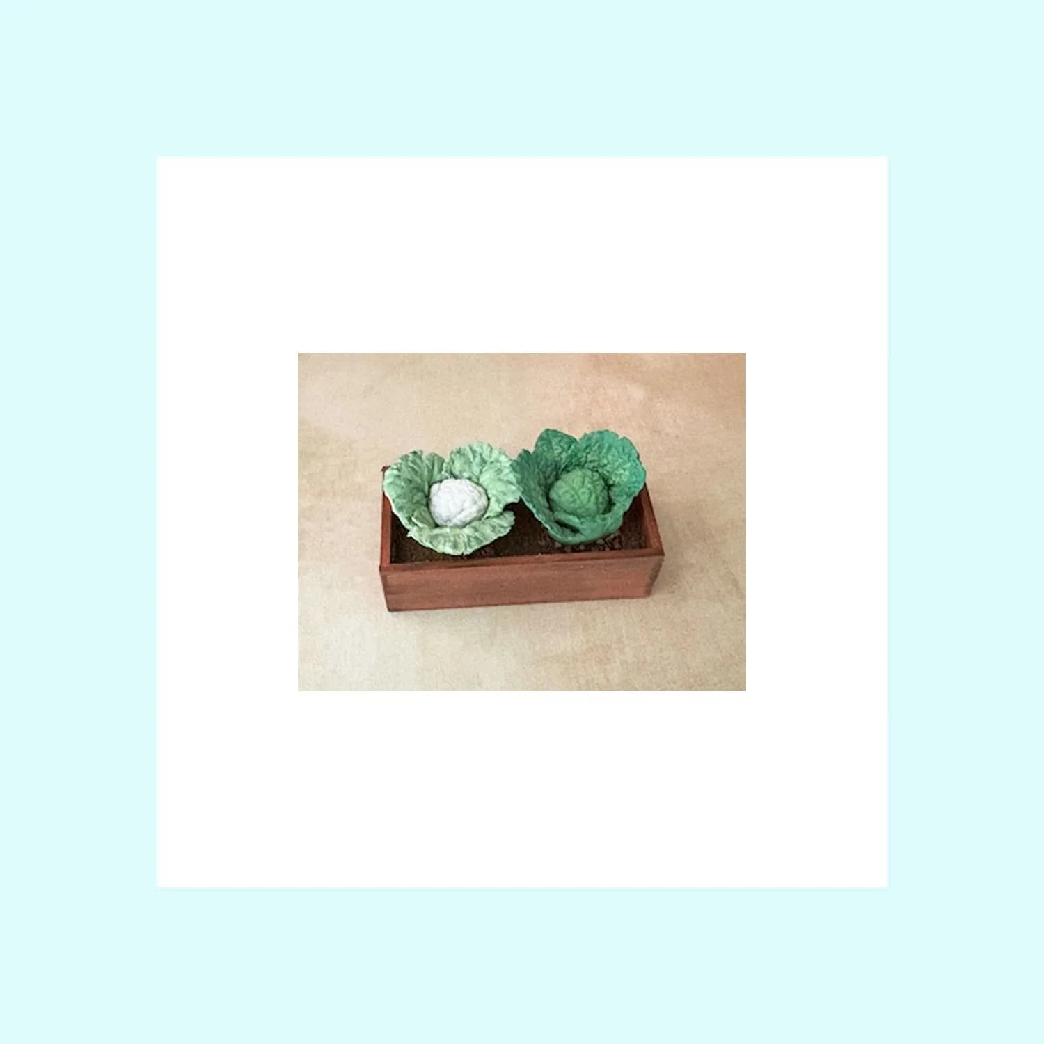 Planting Box - Mixed 2.jpg