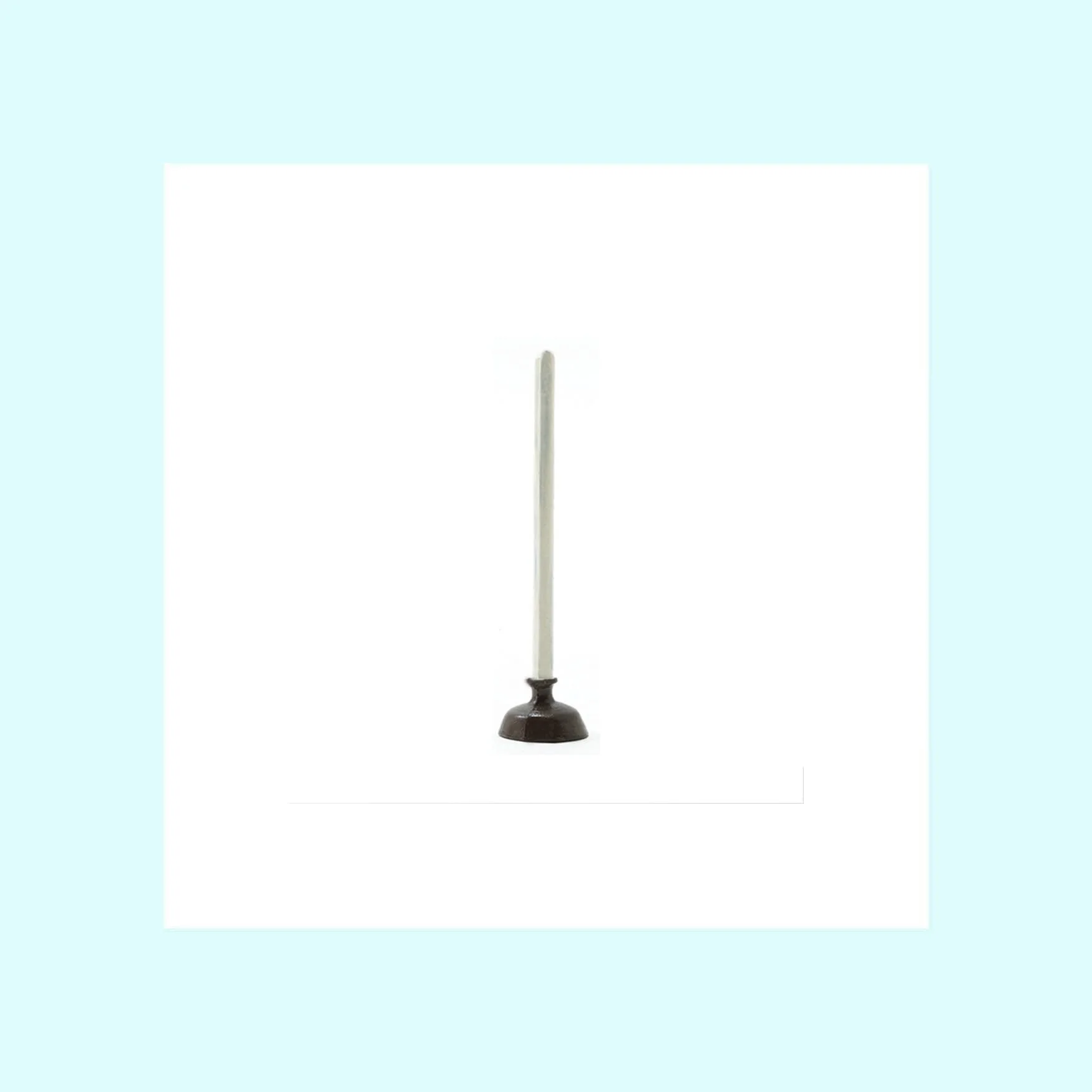 Toilet Plunger