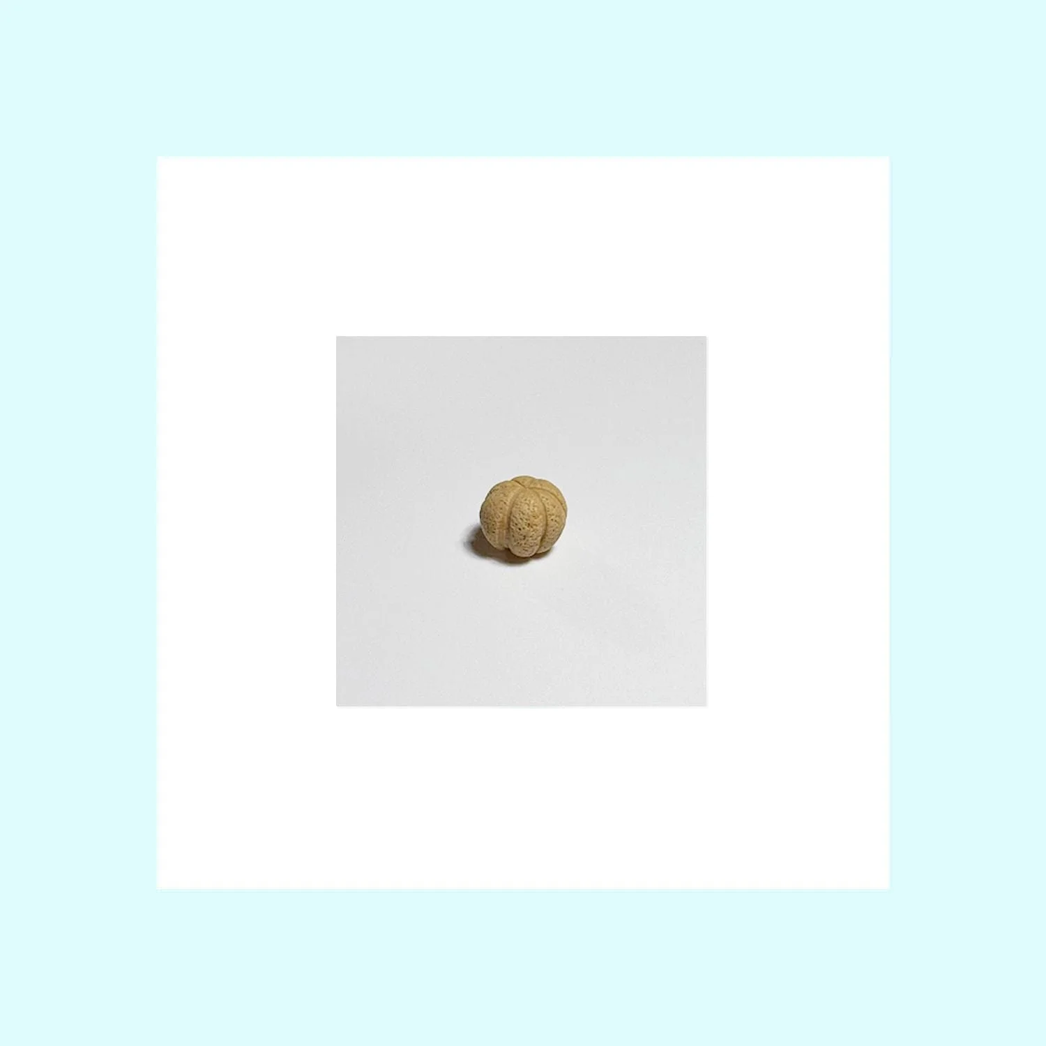 Fruit - Canteloupe-min.jpg