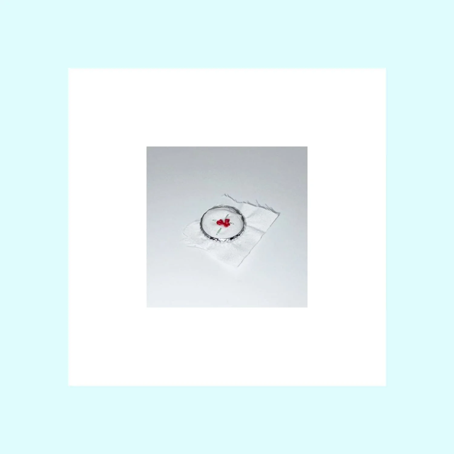 Embroidery in Hoop