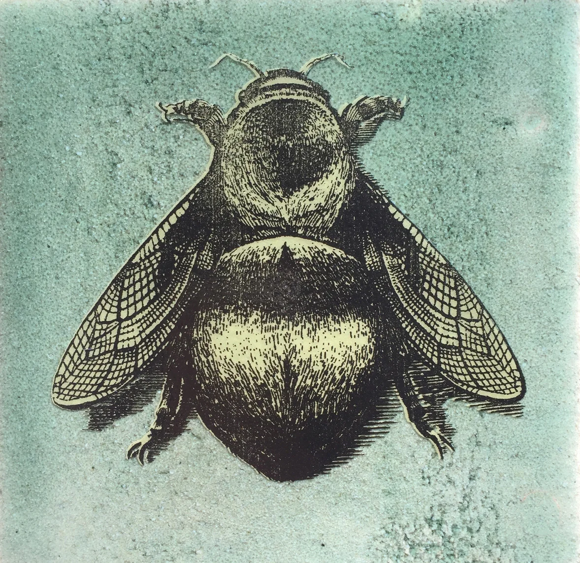 Timorous Beasties Napoleon Bee, a collaboration with Froyle Tiles. 