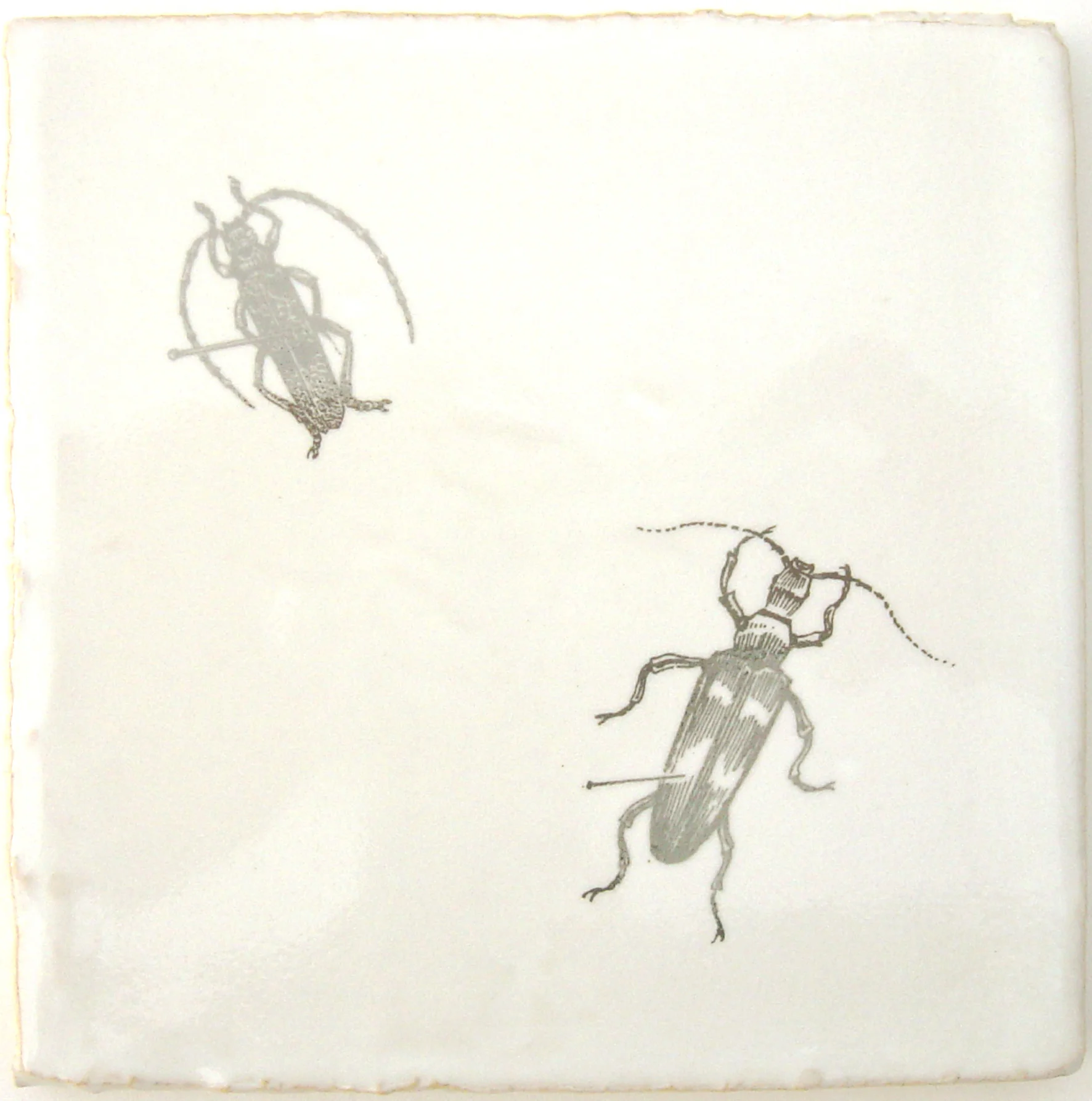 Insect Platinum Tile