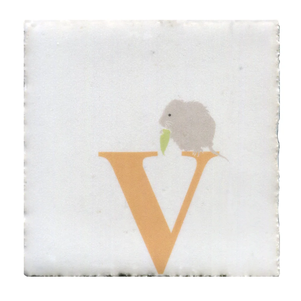 V