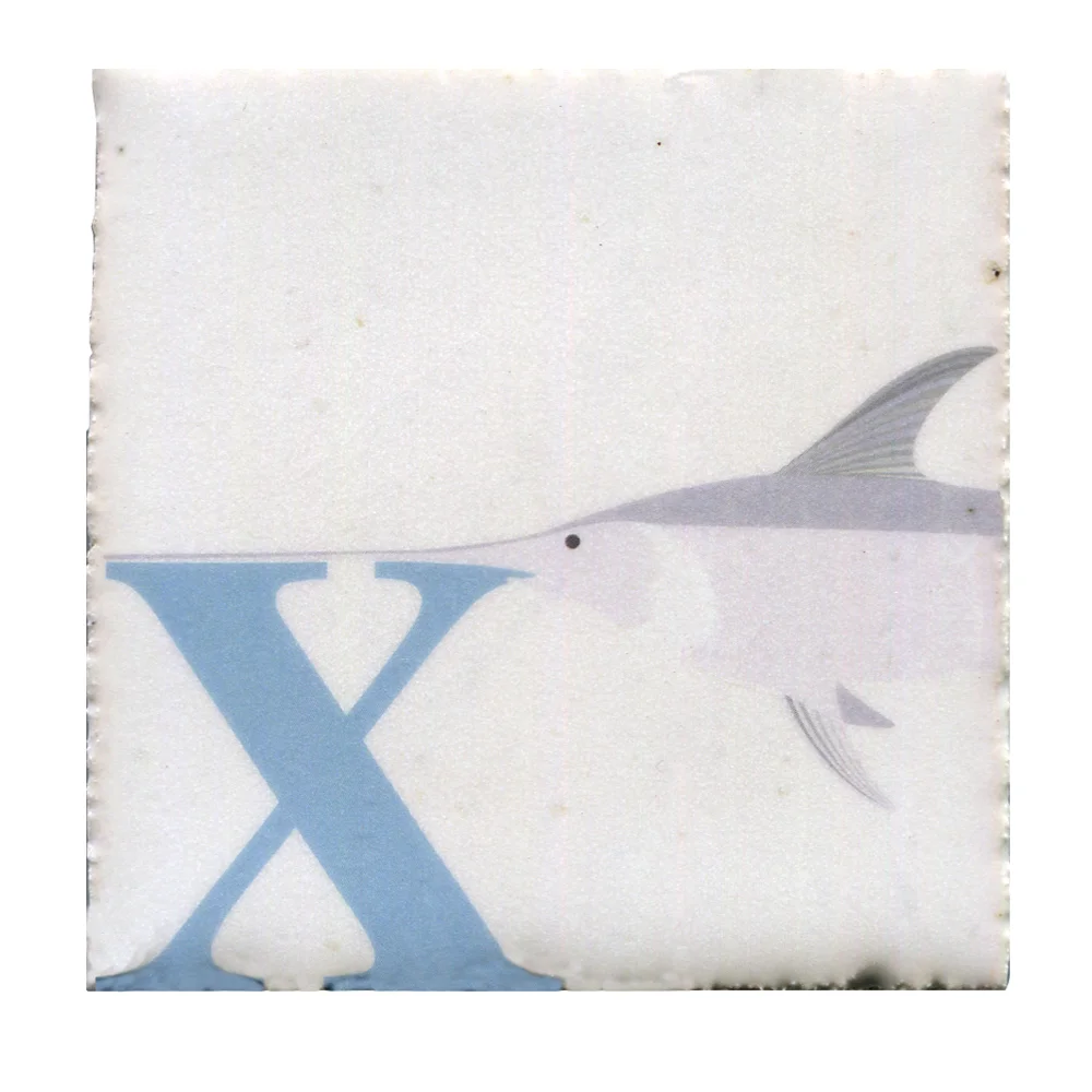 X