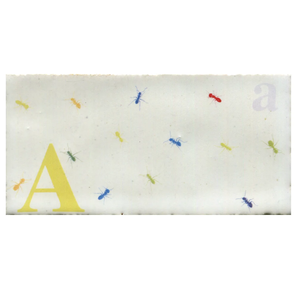Aa | 15 x 7.5cm
