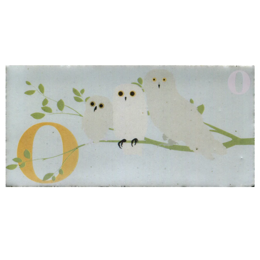 Oo| 15 x 7.5cm