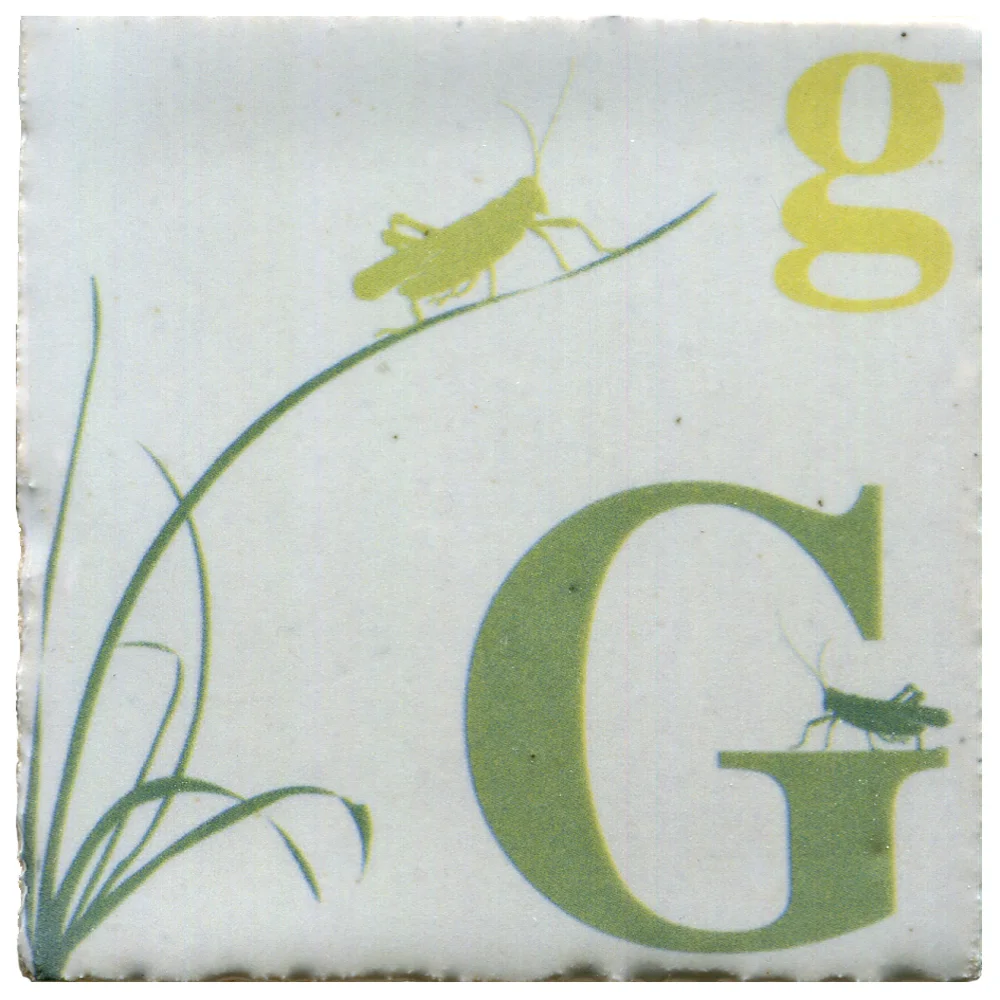 Gg | 7.5cm