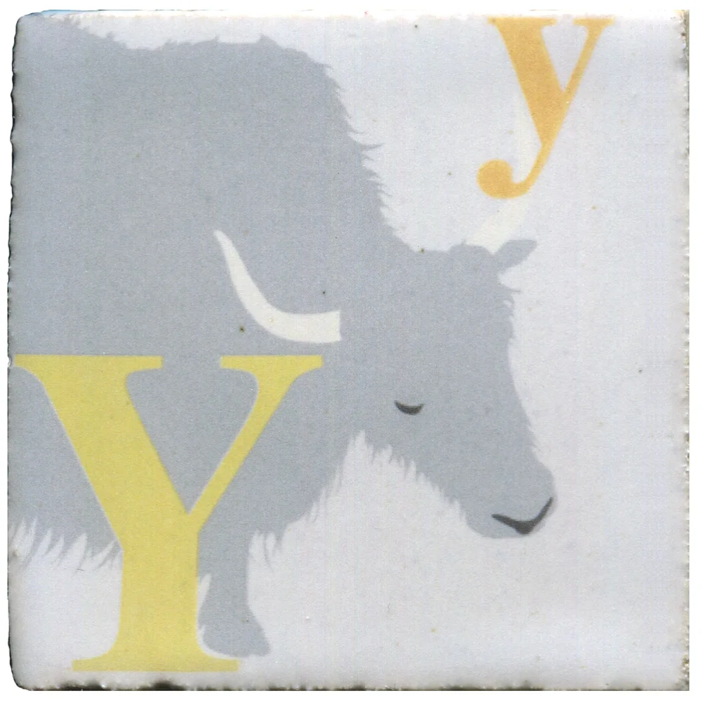 Yy | 7.5cm