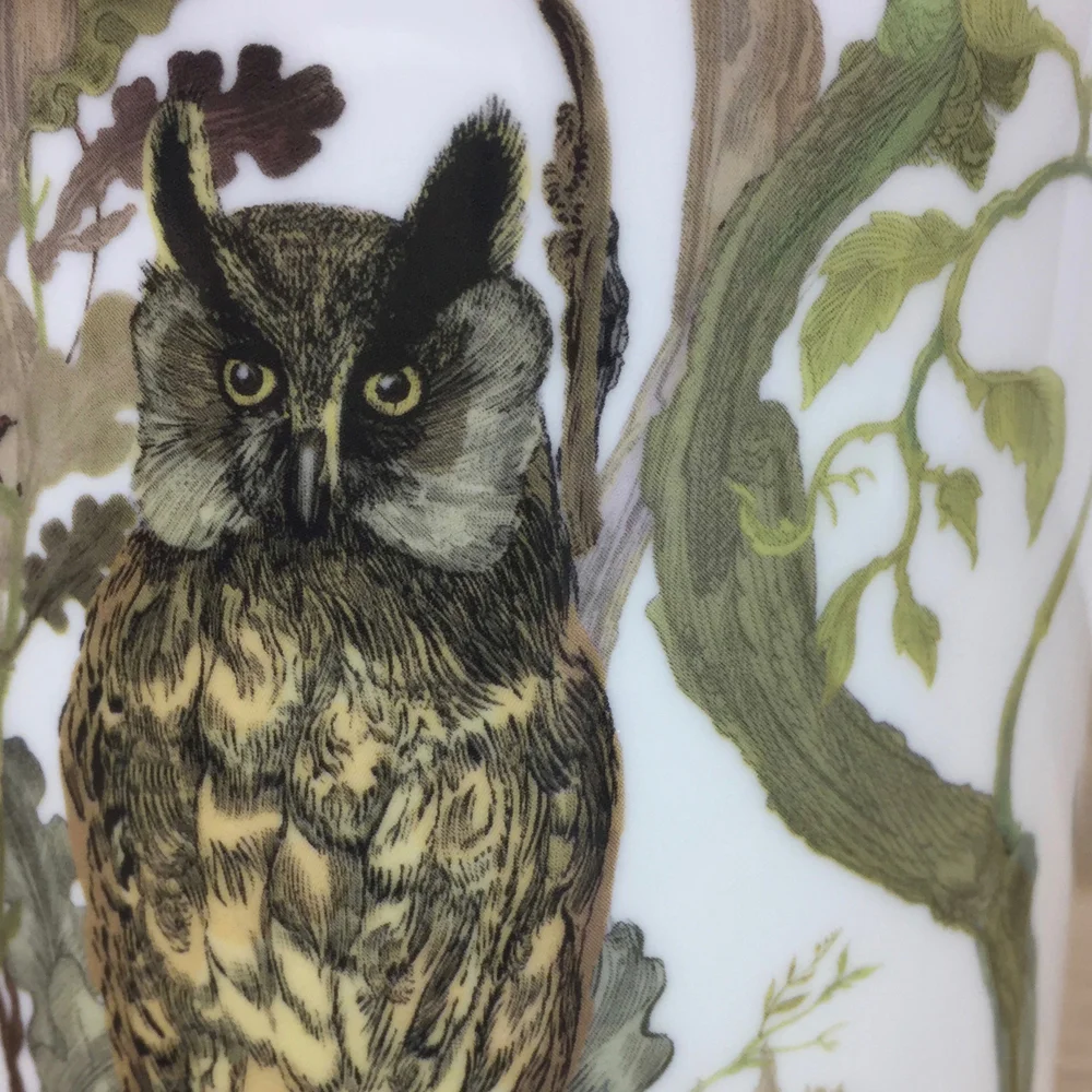 Long-Eared Owl