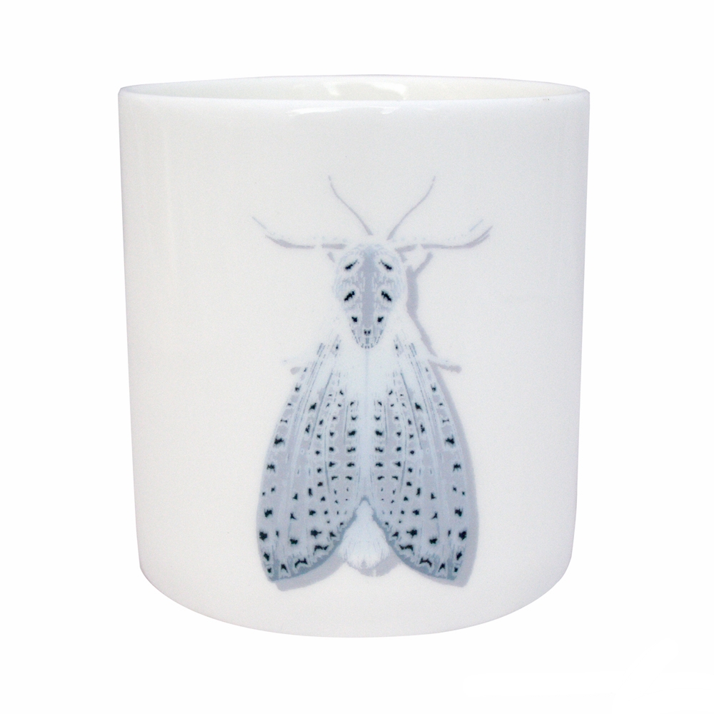 Atticus Moth | pebble