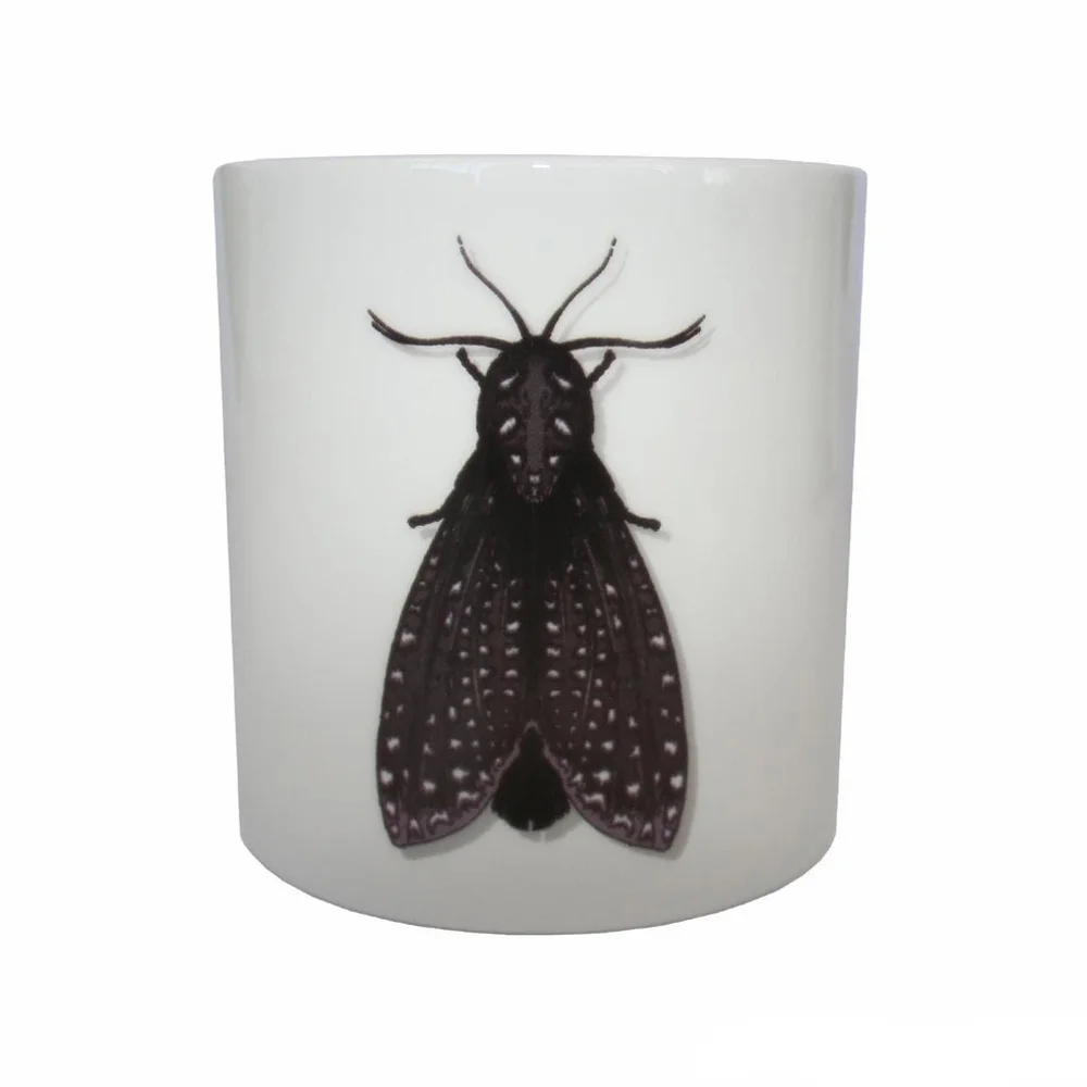 Atticus Moth | granite
