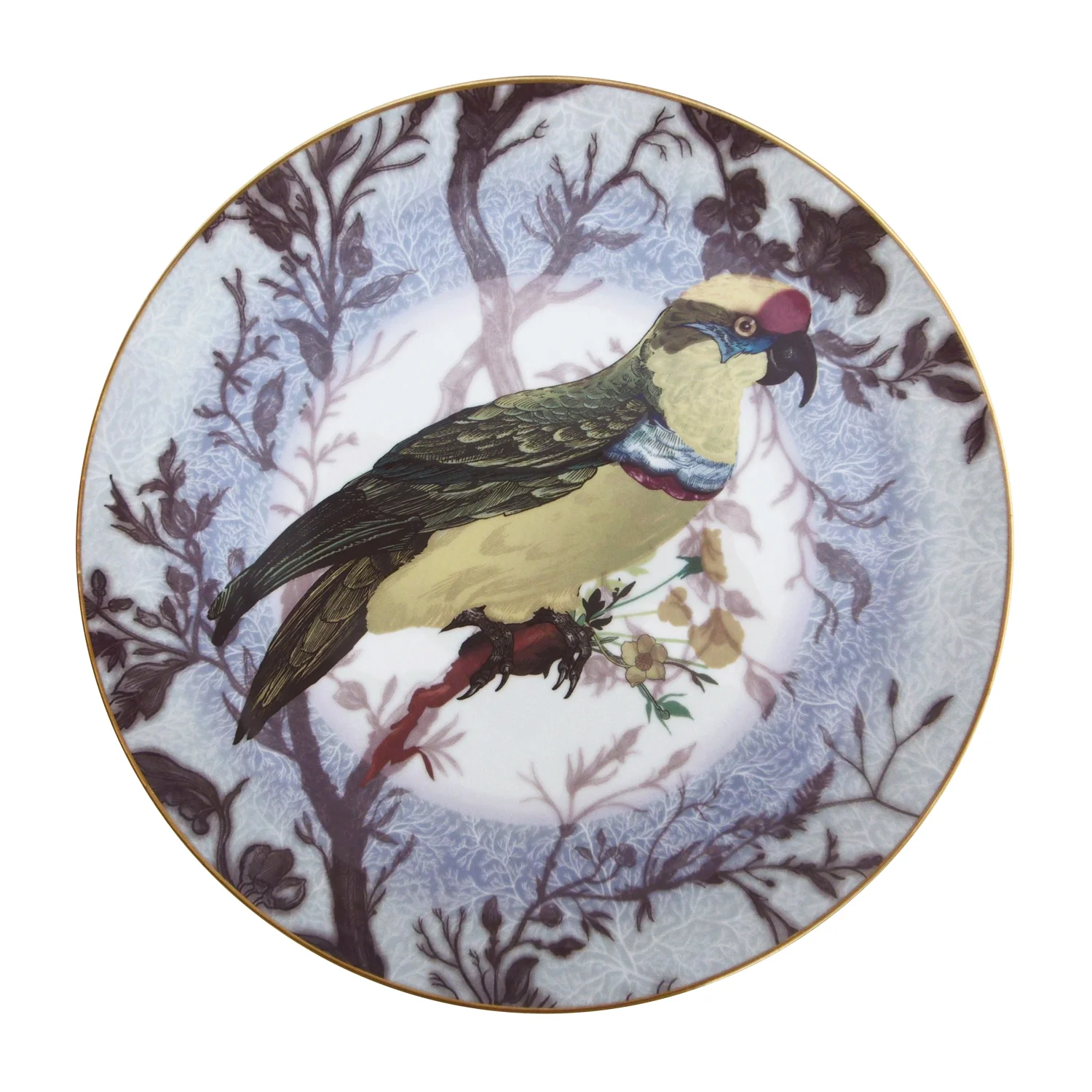 Pisticule Parrot | 10"/27.5cm | round
