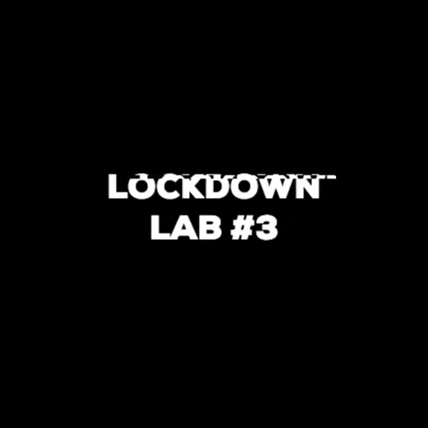 Lockdown Lab #3