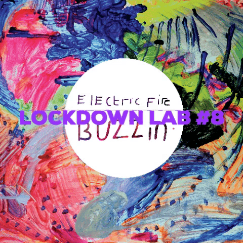 Lockdown Lab #8
