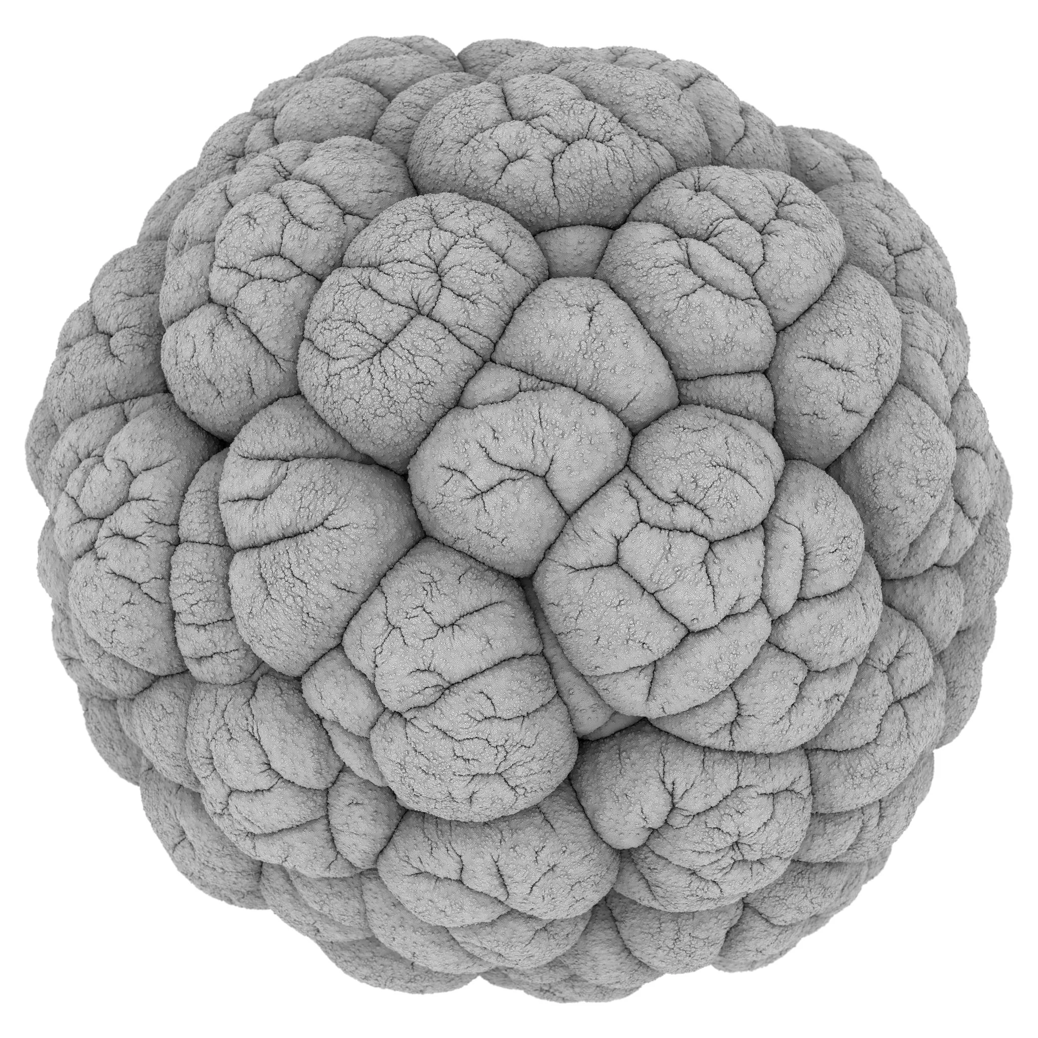 cellularForm18_0011_0023.jpg