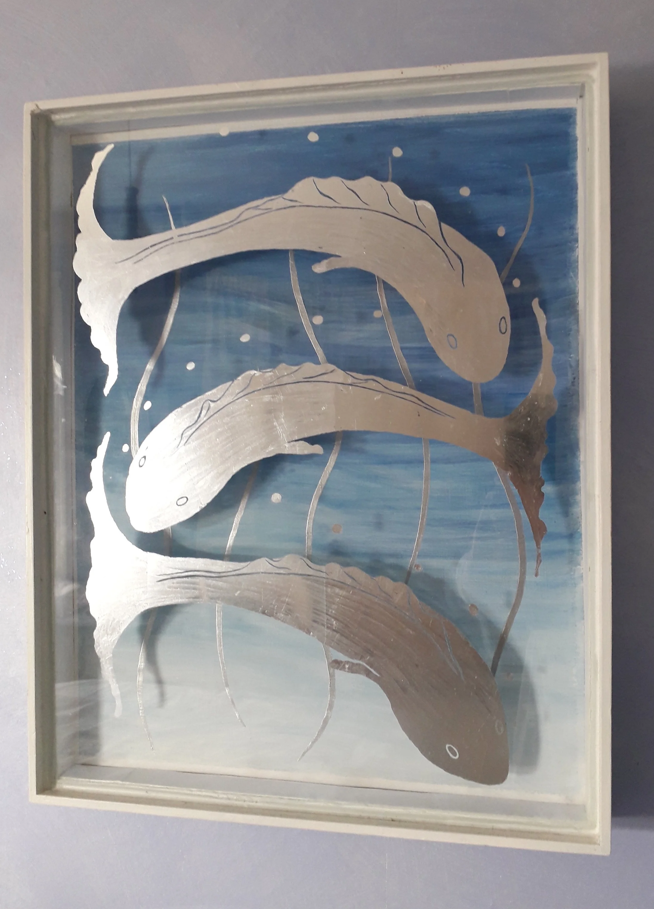 Silver Fish Reflection
