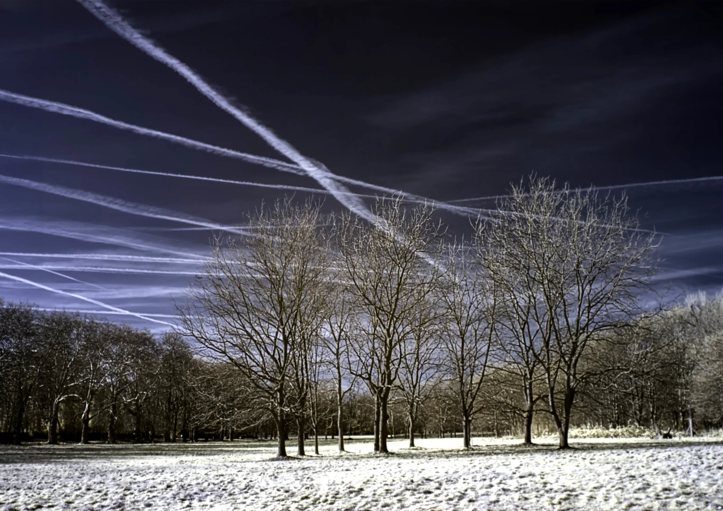 Gunnersbury Infrared