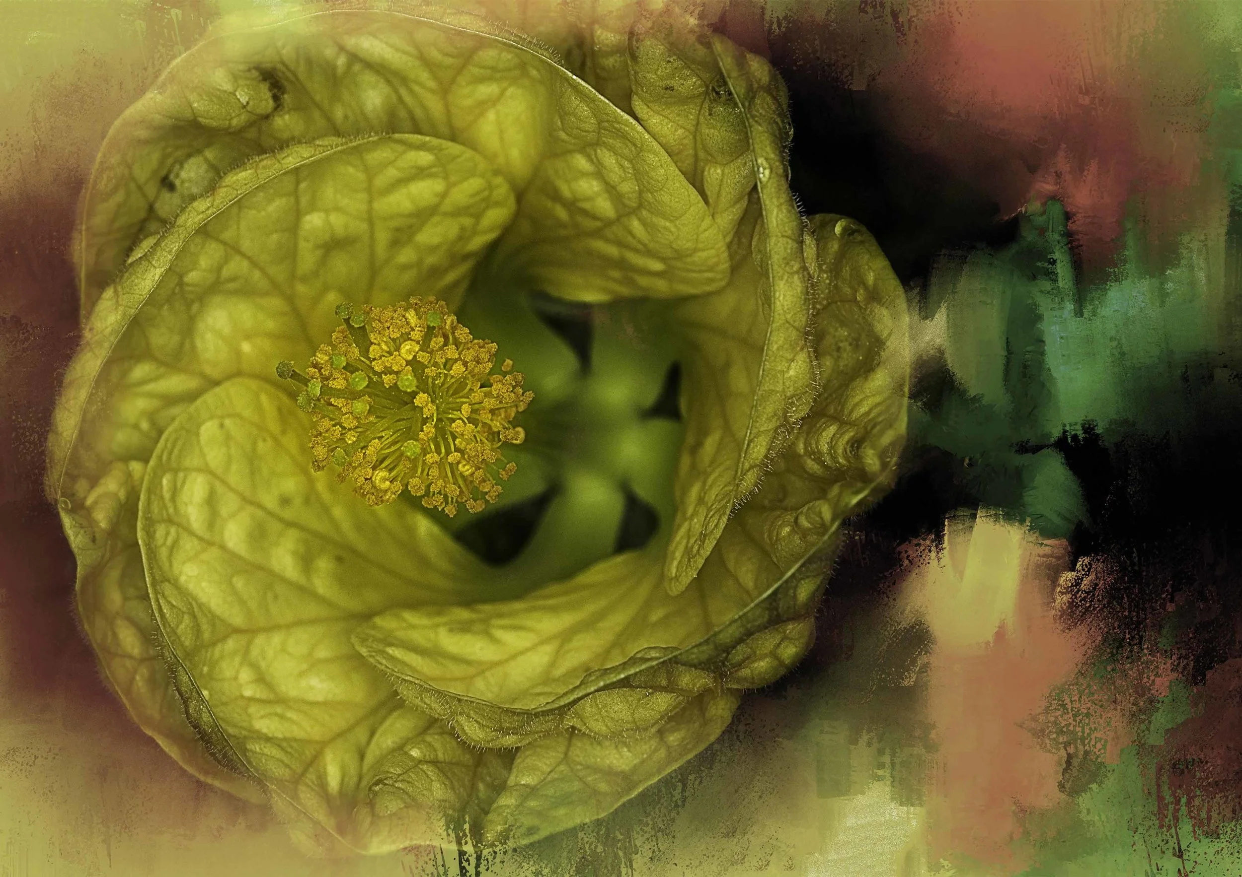 Arbutalon Fine Art