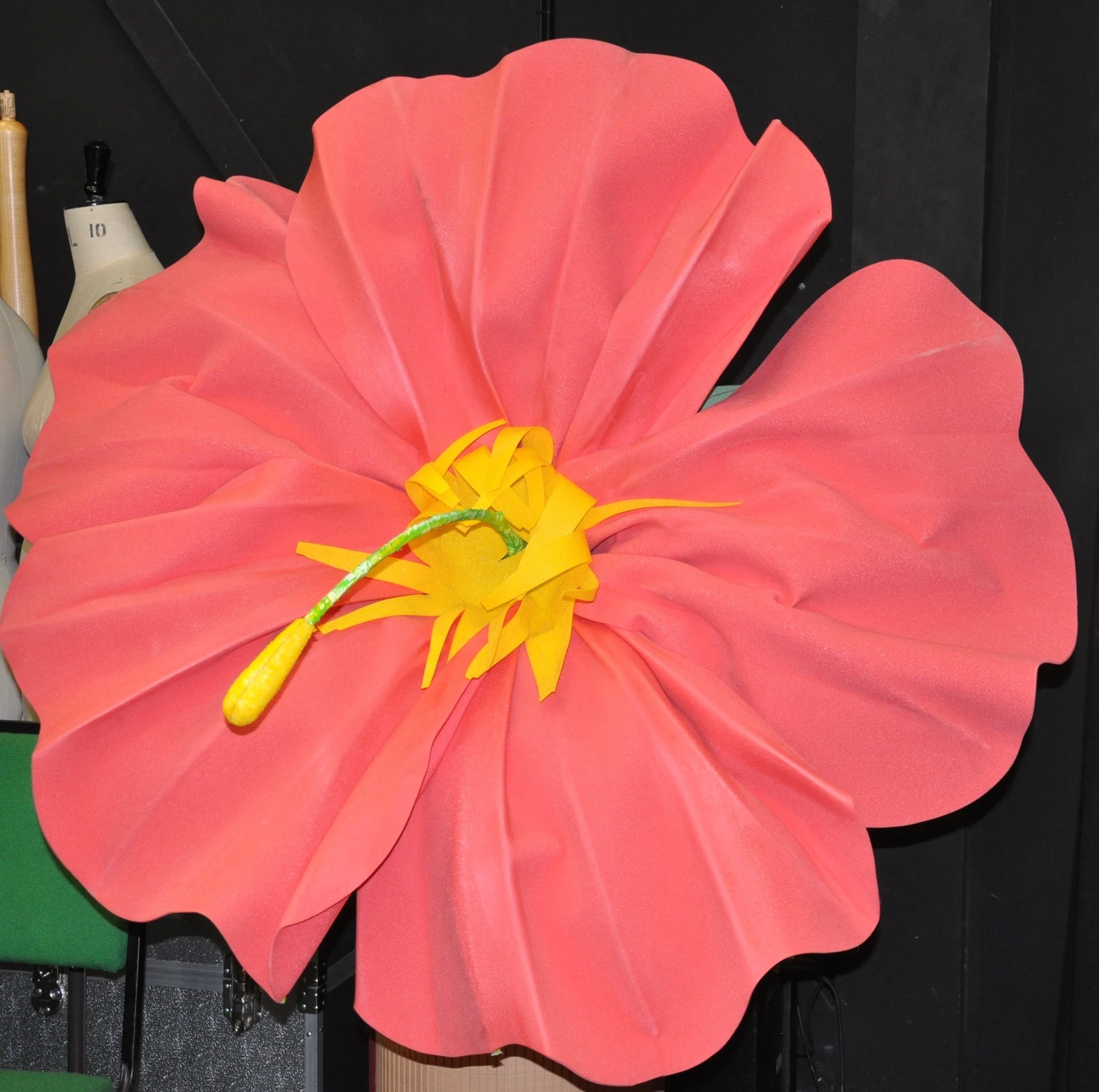 DSC_2127.jpg