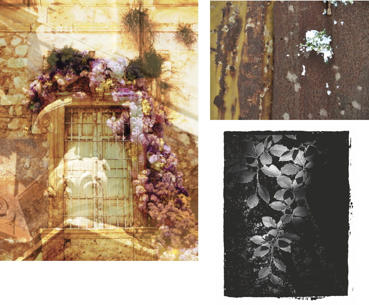 Ealing LIP (London Independent Photography)