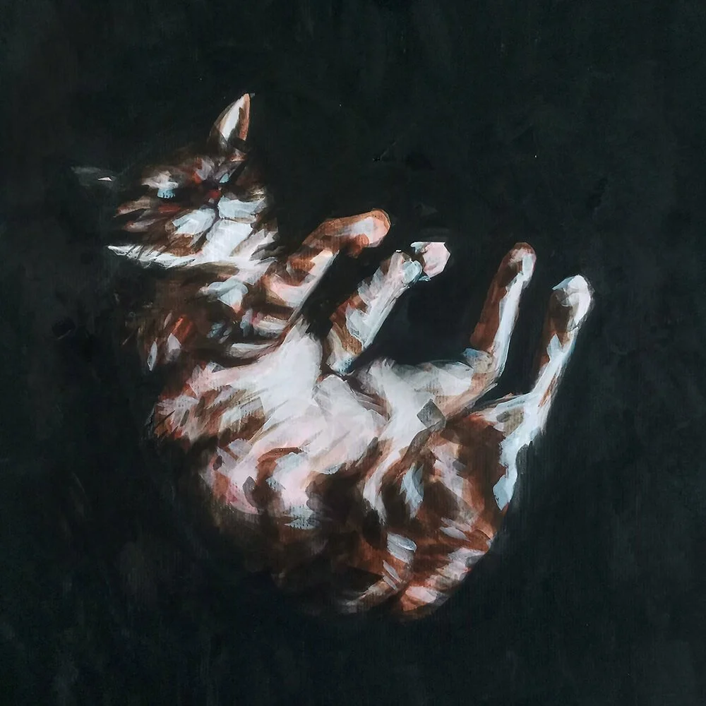 Sally Rumball