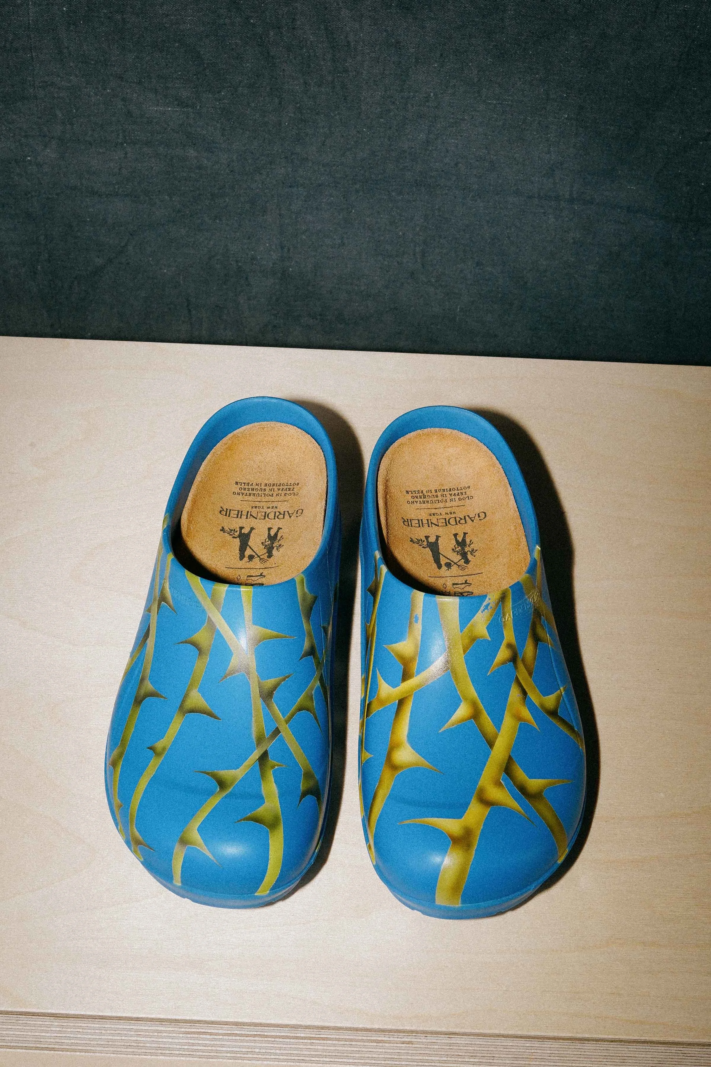 Thorn Clogs . 2025