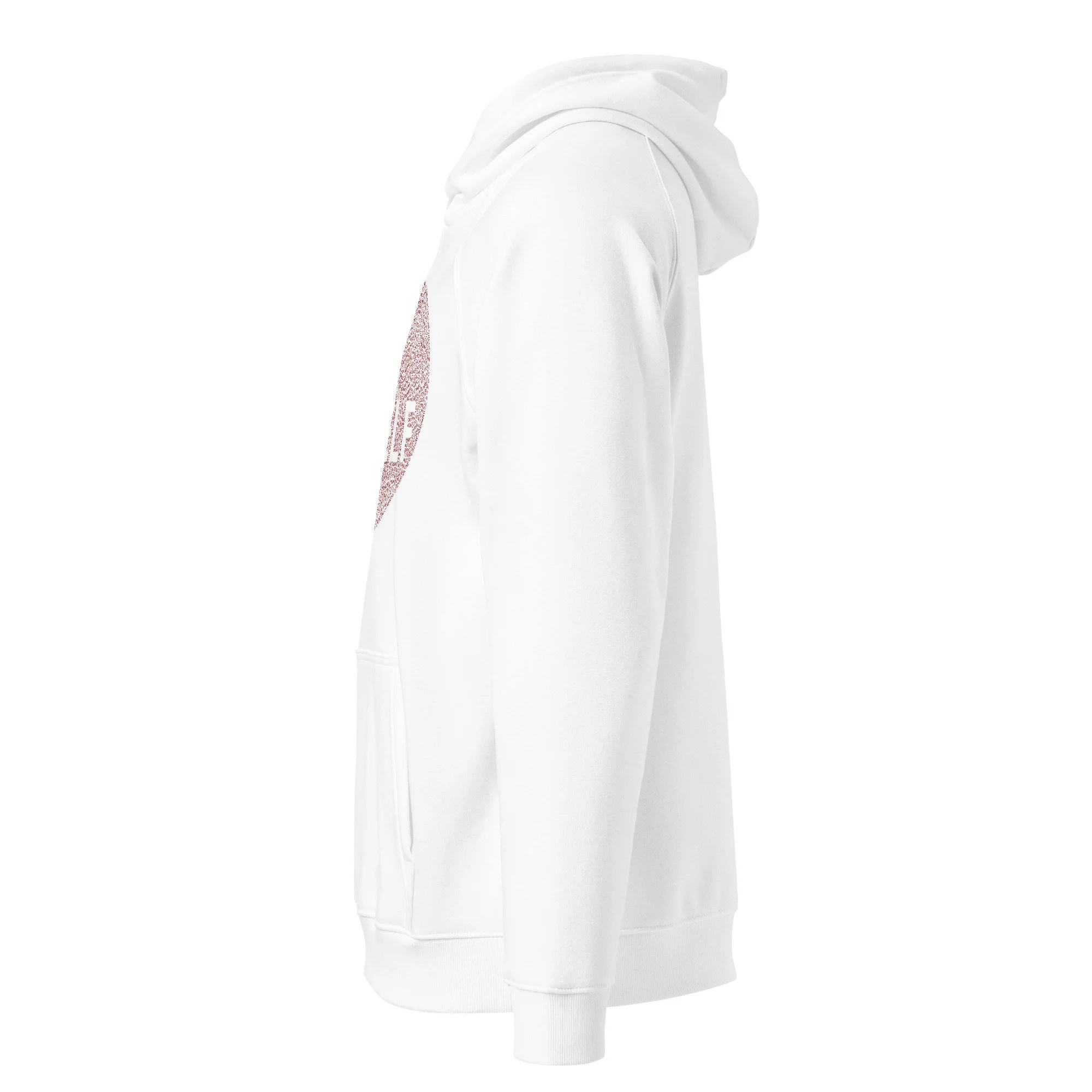 unisex-eco-raglan-hoodie-white-left-6a11f68cf05ec.jpg