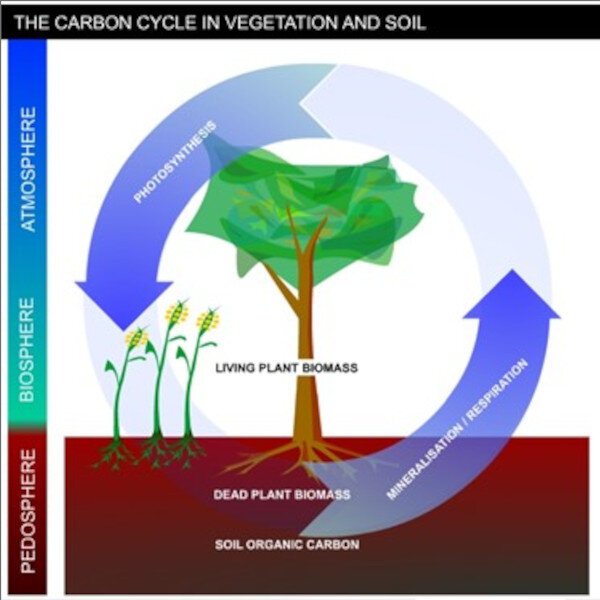 CO2 Sequestration
