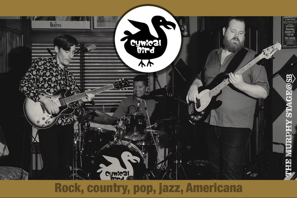 Cynical Bird LIVE @Steel Bender