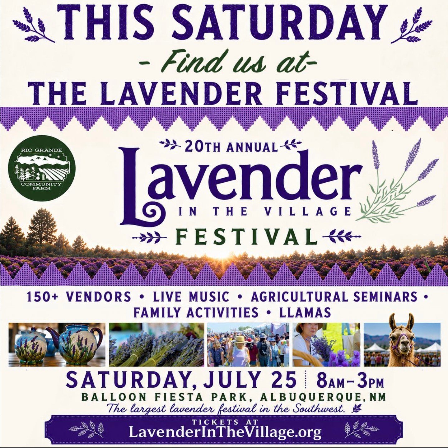 Proud to once again be the 𝗼𝗳𝗶𝗰𝗶𝗮𝗹 𝗯𝗲𝗲𝗿 of one of our favorite annual festivals, Lavender in the Village! ⁠
⁠
This Saturday from 8a-3p at Balloon Fiesta Park, stop by Booth #111 where  Amber, Ashley, and Donald will be pouring cold pints a