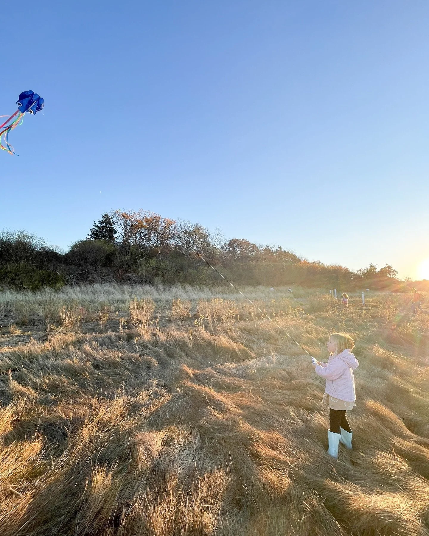 Let us fill the sky with the light of a billion bright stars 💫