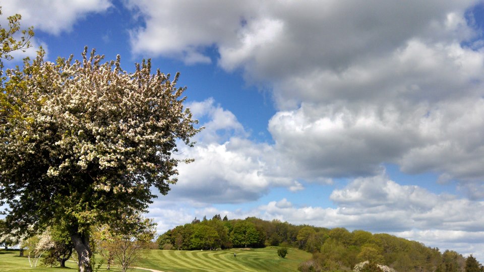 Spring 182214_623880030974081_118068905_n.jpg
