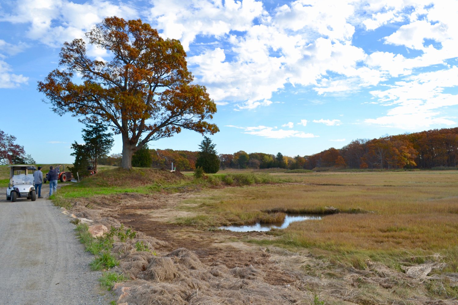  View Of New Teeing Ground Site Under Oak Tree – 8th Hole 