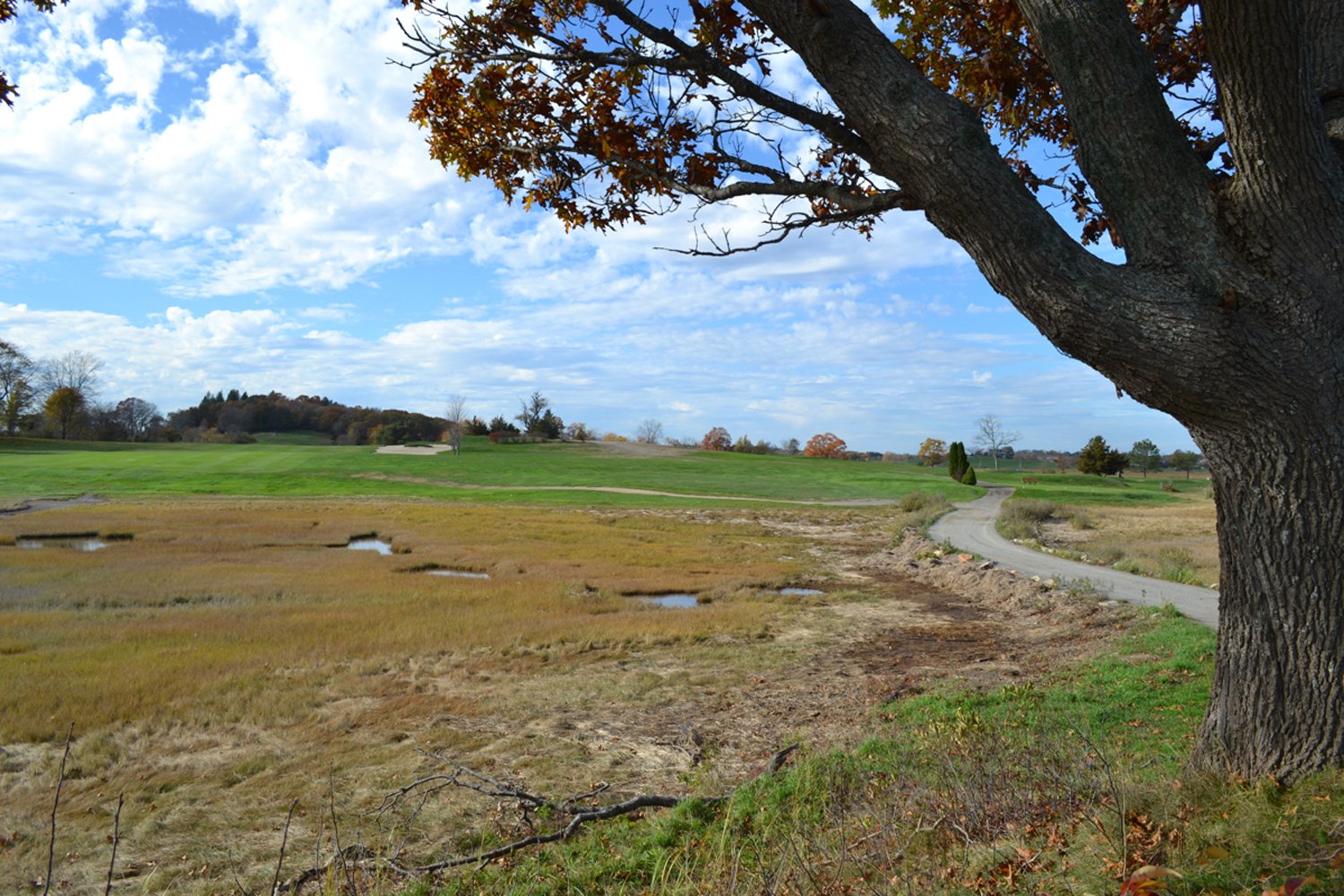  Teeing Ground Restoration – 8th Hole  