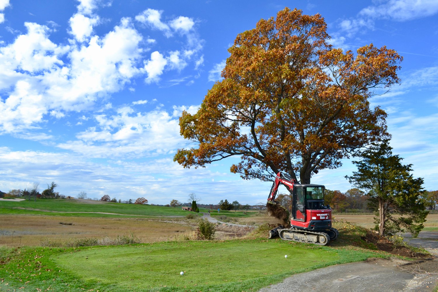  Teeing Ground Restoration – 8th Hole  