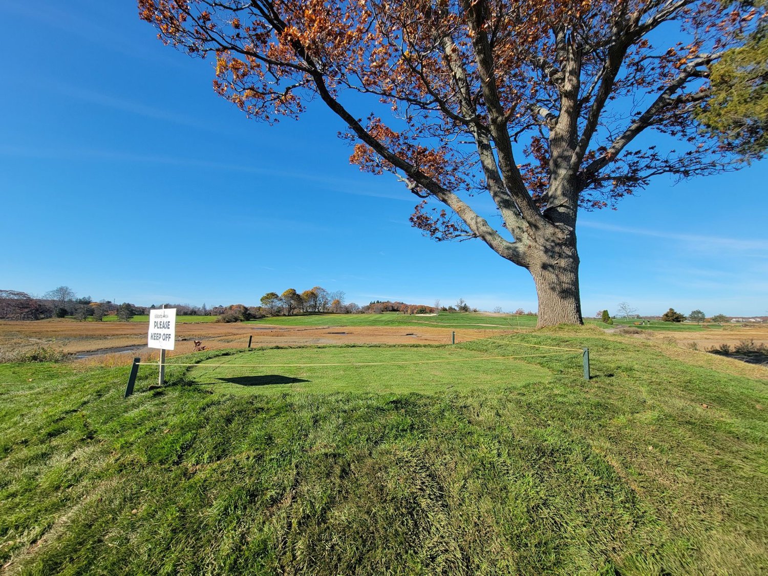  Teeing Ground Restoration – 8th Hole  