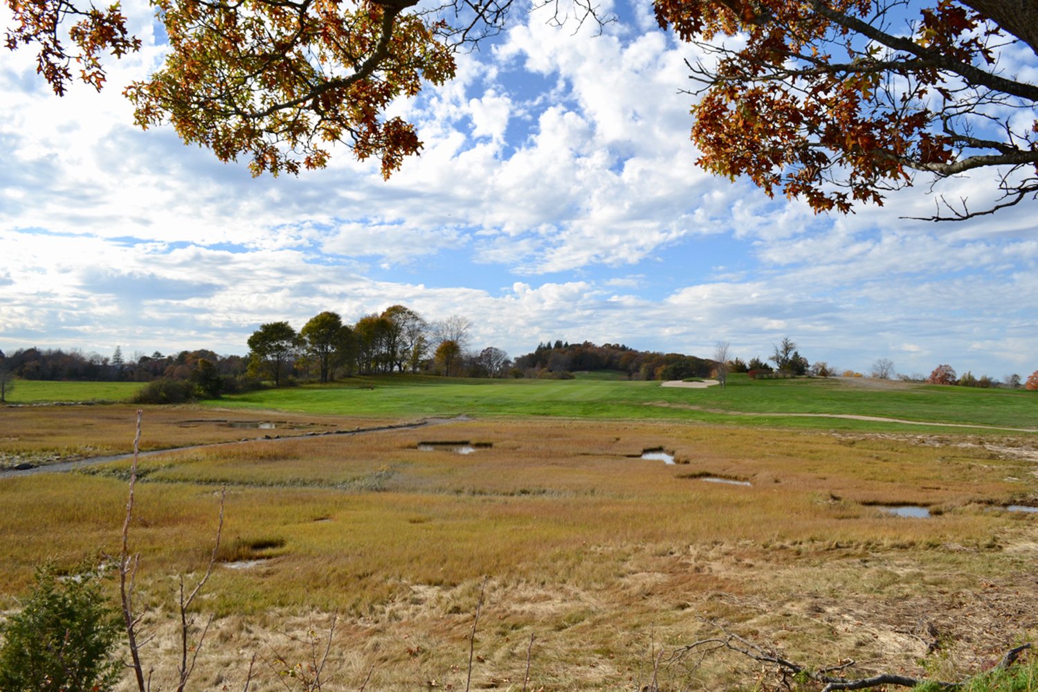  Teeing Ground Restoration – 8th Hole  