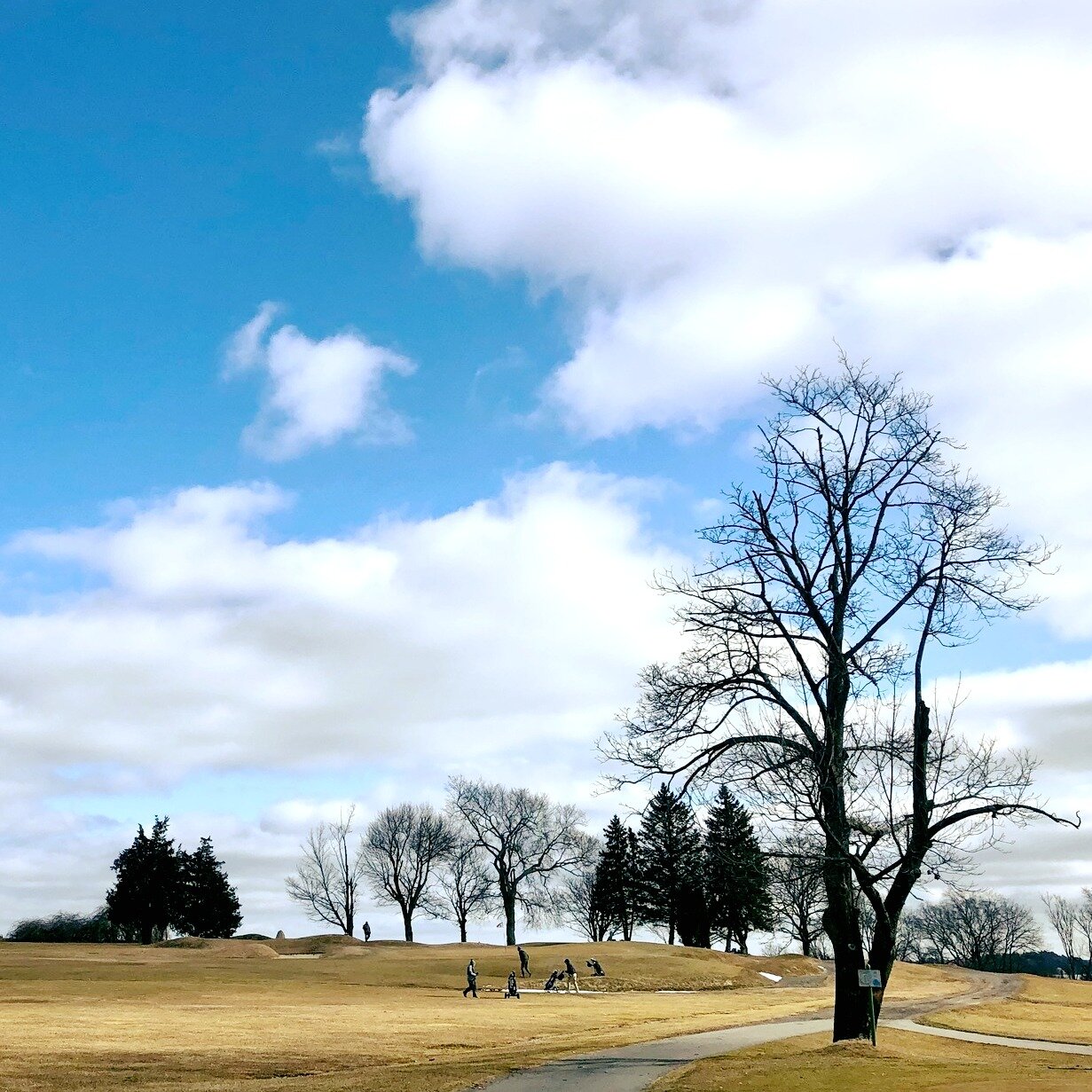 The end-of-winter GOLF game GOES ON as weather permits from sun up till sunset at Cape Ann Golf Club! Players walk the course at this time of year with carts parked until spring. All Tee Time Reservations are made on line at capeanngolf.com - Come jo
