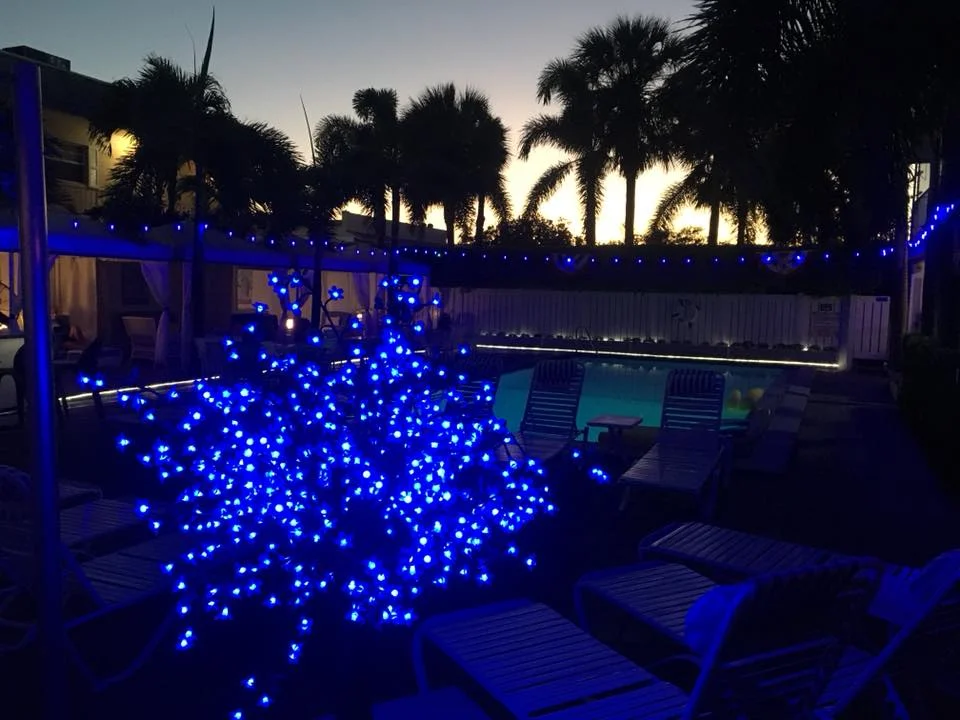 blue lights sunset ocean pool.jpg