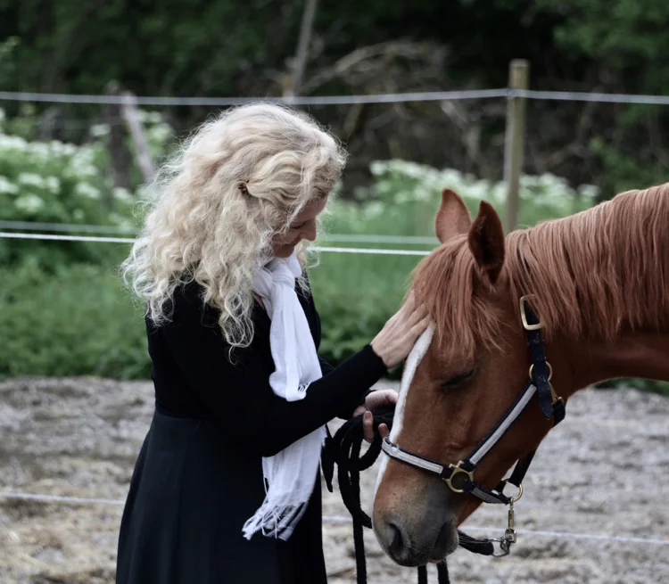 My own breed, Dioro 2 years old stallion