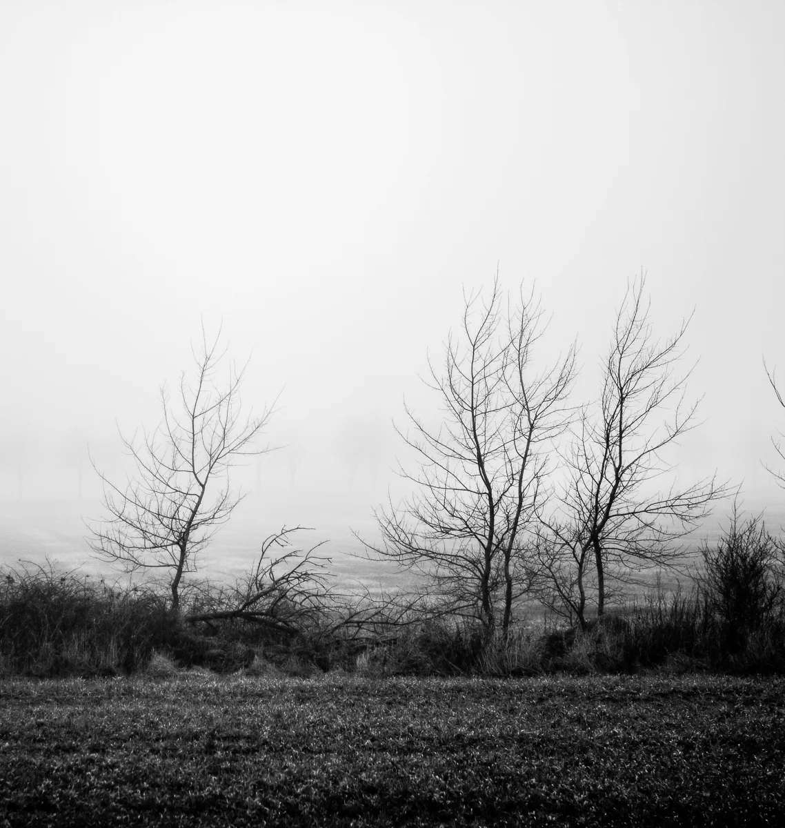 DSC_0944.jpg