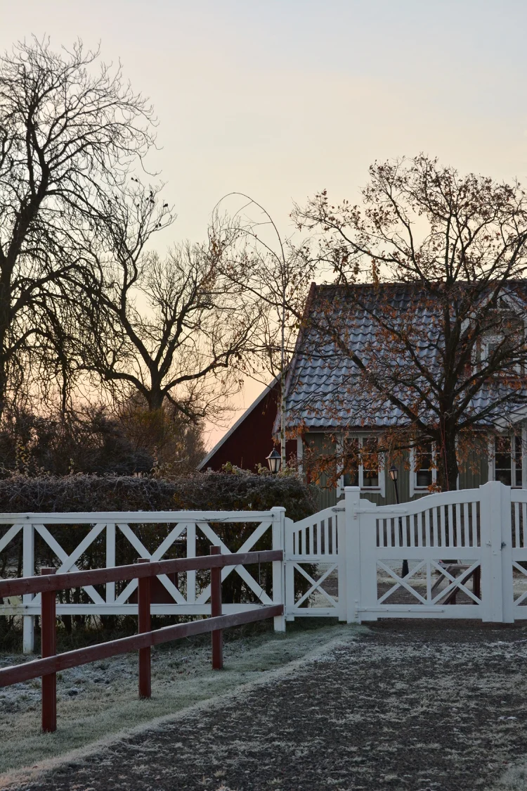 Gåreden en vinter morgen
