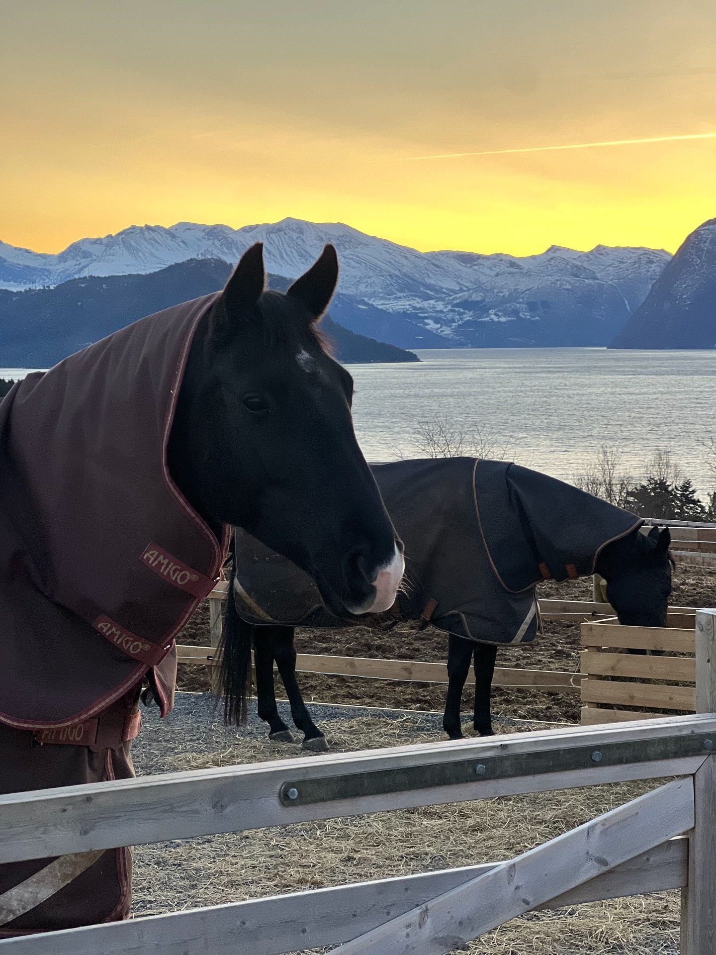 Winter days at the farm

A season shaped by hand and home.
Quiet interiors, soft light.
Horses waiting in the cold, under a sky that feels endless.
The table set &mdash; simple, warm, familiar.
Evenings stretching long, curled into the sofa.

Heimgar